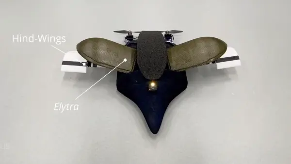 a-Protective-System-for-Winged-Drones-Inspired-by-Beetles.jpg