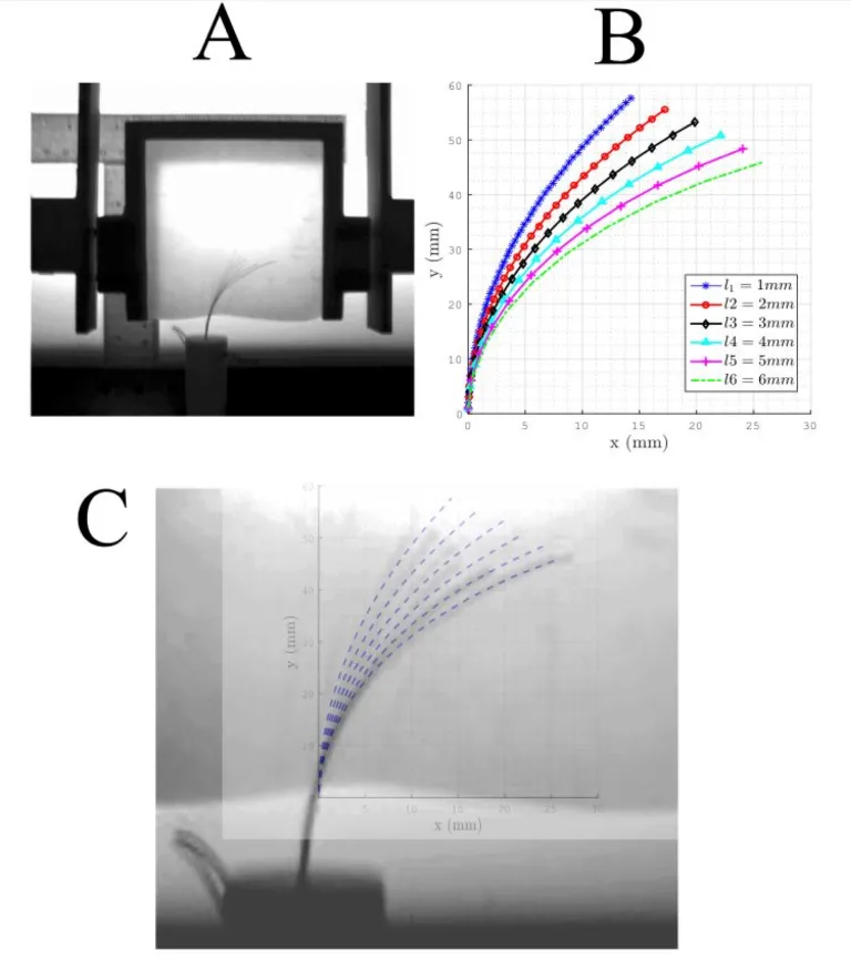 modeling_experiment_overlay_steerable_needle.jpg
