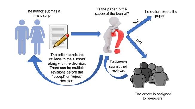 peer review process