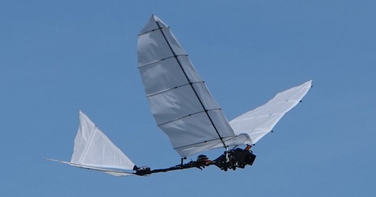 robotic-bird-flying.jpg