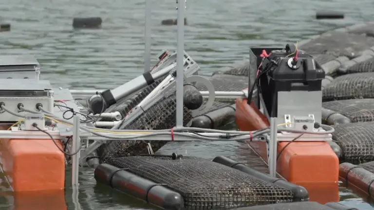 robotic-boat-shellfish-farming-mit-photo-2.jpg