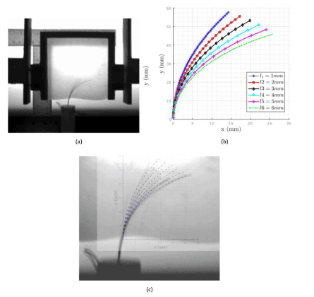 screw-theory-fracture-directed-steerable-needles