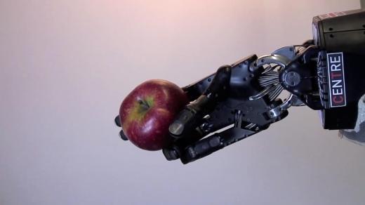 wrenches_shadow robot grasps an apple